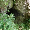 Plants: image 67 Of 208 Thumb